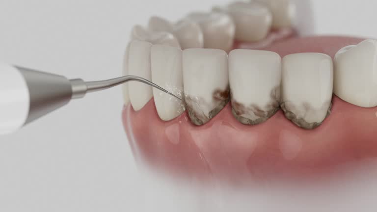 Reliable Dental contractor in Cordova, AL by Dentist Open Now